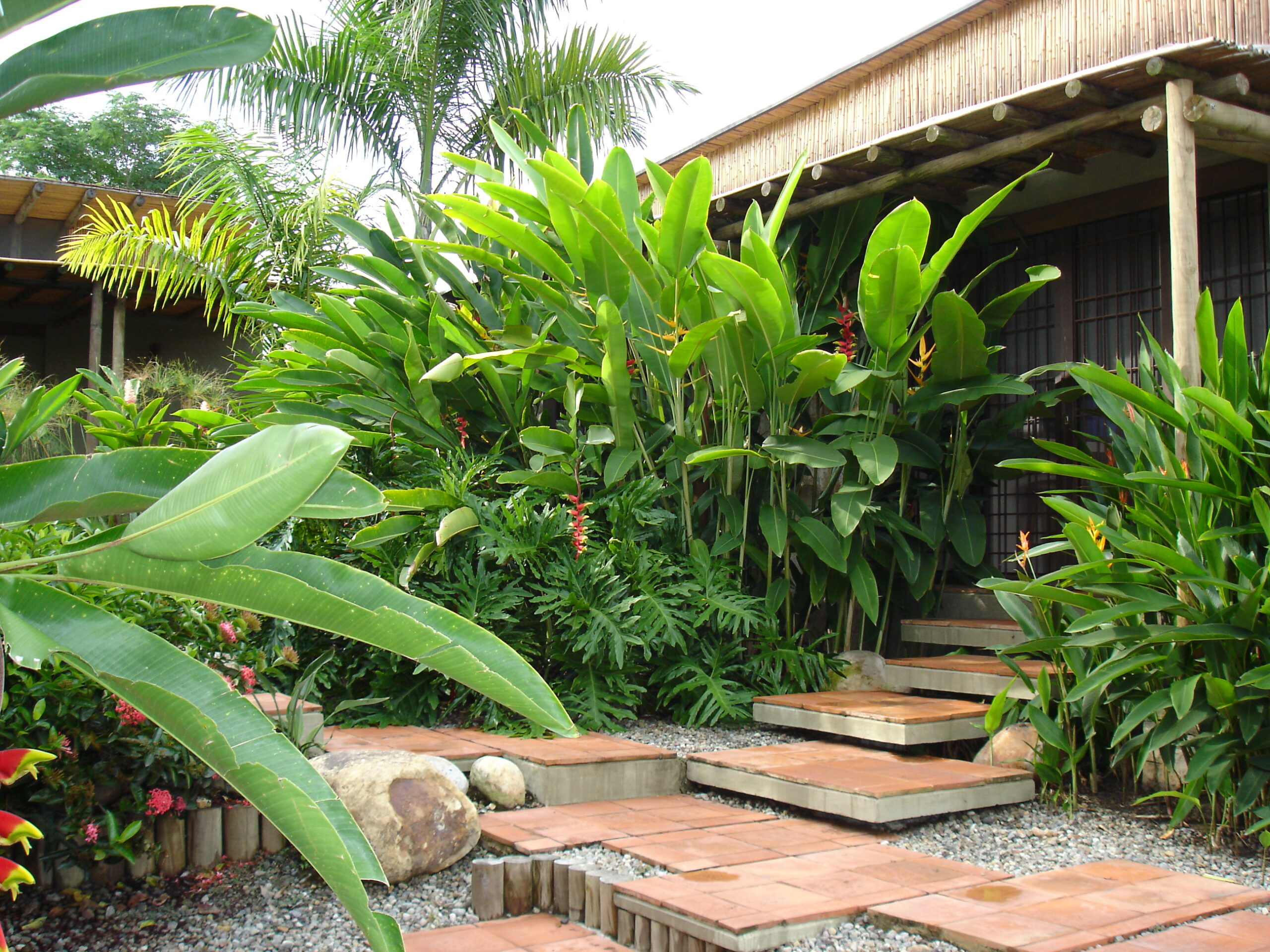 CASA FUSE